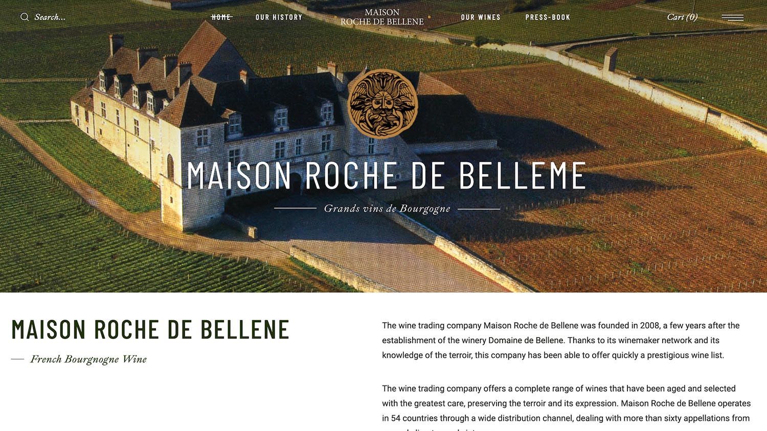 Agency project preview 4