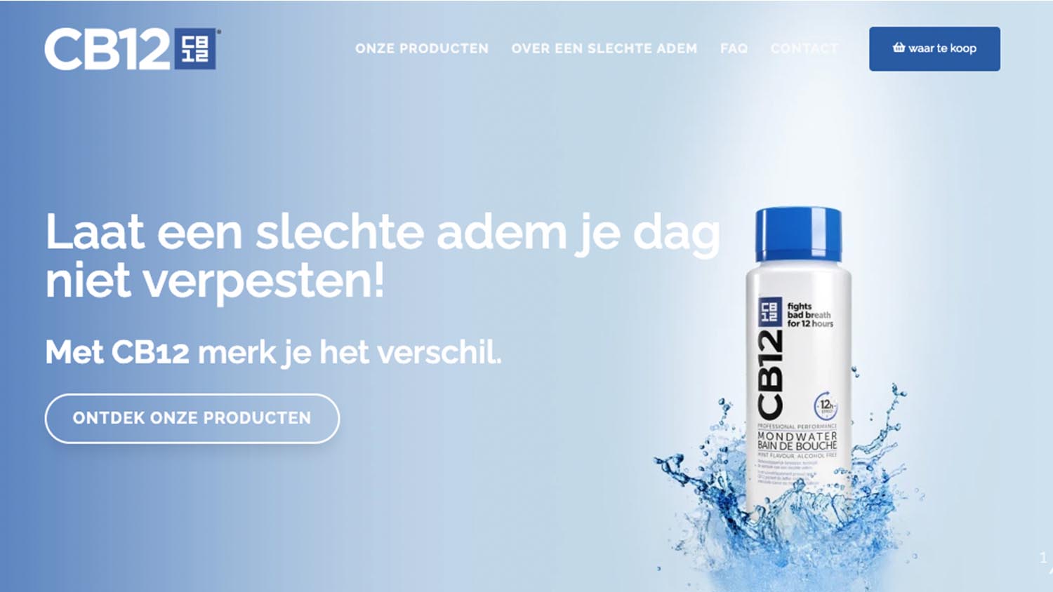 Agency project preview 3